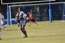 Enlarge photo 1765