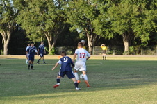 Enlarge photo 2270