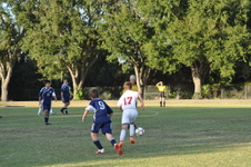 Enlarge photo 2273