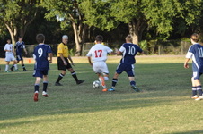 Enlarge photo 2285