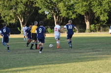 Enlarge photo 2291
