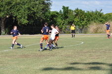 Enlarge photo 37