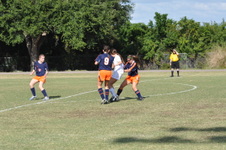 Enlarge photo 41