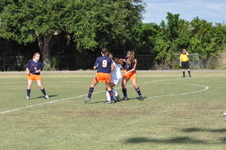 Enlarge photo 43