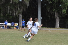 Enlarge photo 44