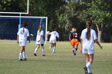Enlarge photo 48