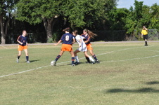 Enlarge photo 50