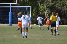 Enlarge photo 72