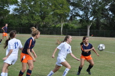 Enlarge photo 120