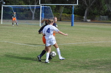 Enlarge photo 127