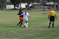 Enlarge photo 138