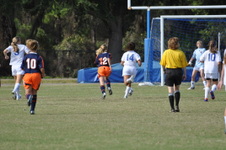 Enlarge photo 139