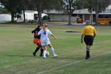 Enlarge photo 142