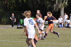 Enlarge photo 157