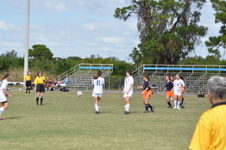 Enlarge photo 158