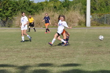 Enlarge photo 164