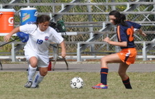 Enlarge photo 185