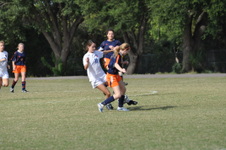 Enlarge photo 224