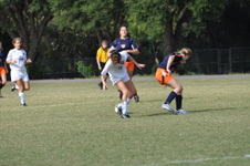 Enlarge photo 232