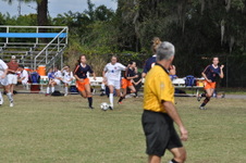 Enlarge photo 234