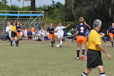 Enlarge photo 239
