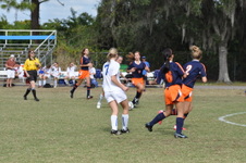 Enlarge photo 249