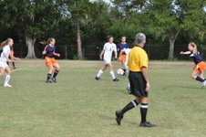 Enlarge photo 270