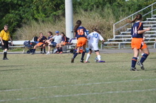 Enlarge photo 294