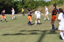 Enlarge photo 301