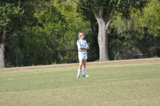 Enlarge photo 308