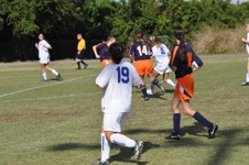 Enlarge photo 313