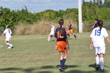 Enlarge photo 322