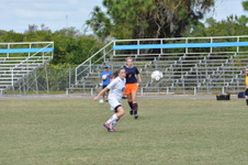 Enlarge photo 334