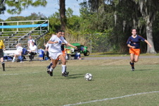 Enlarge photo 341