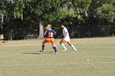 Enlarge photo 342