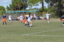 Enlarge photo 358