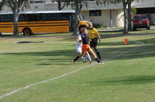 Enlarge photo 401