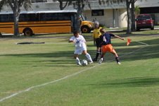 Enlarge photo 407