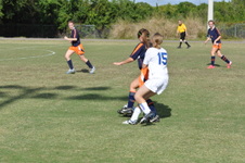 Enlarge photo 428
