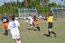 Enlarge photo 479