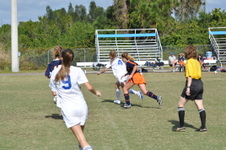 Enlarge photo 483