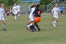 Enlarge photo 482