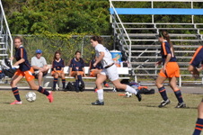 Enlarge photo 566