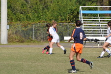 Enlarge photo 592