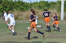 Enlarge photo 758