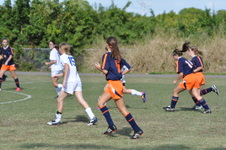 Enlarge photo 761