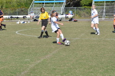 Enlarge photo 1549