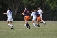Enlarge photo 2011