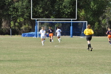 Enlarge photo 2123