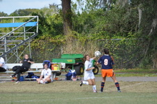 Enlarge photo 2356